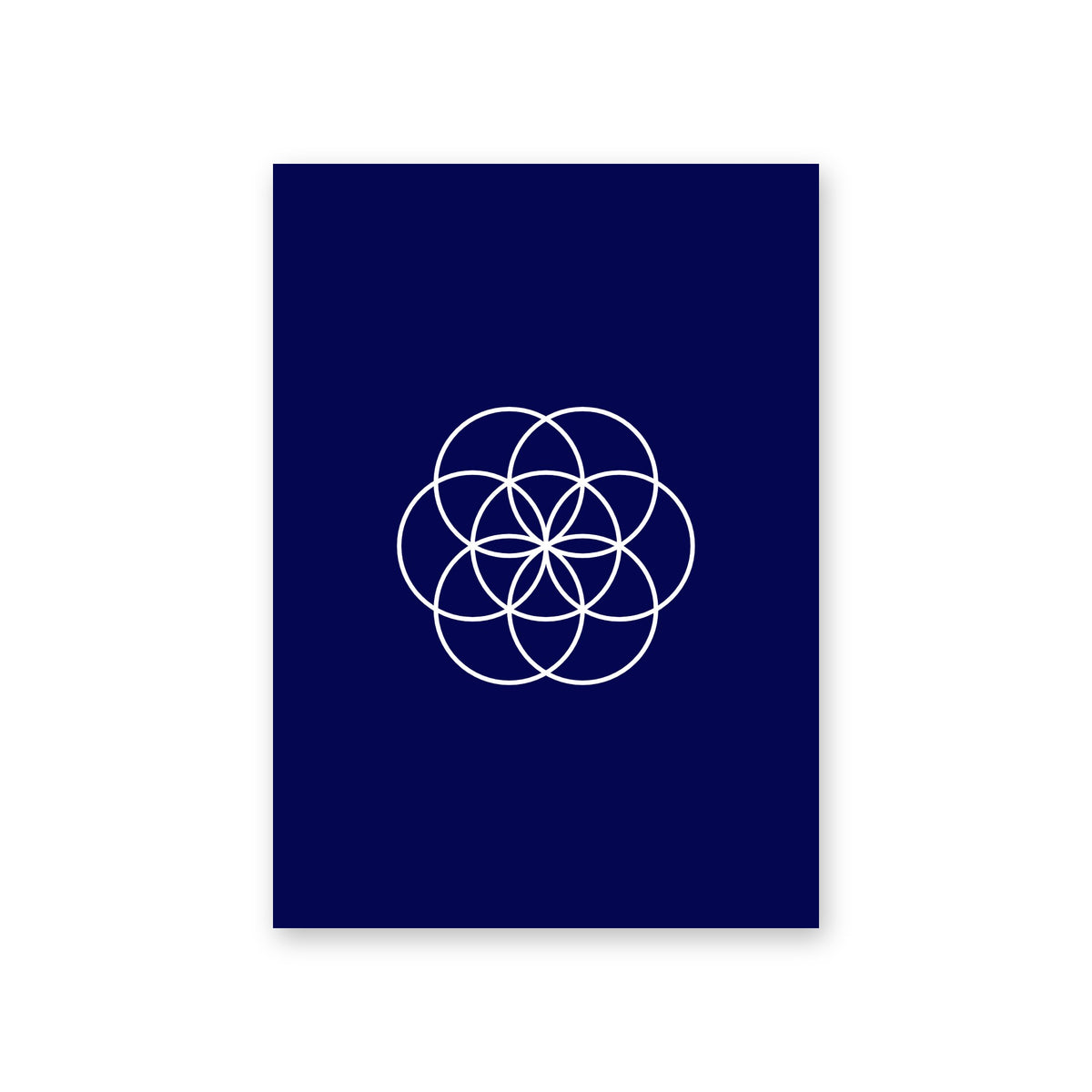 Poster Bloom, navy