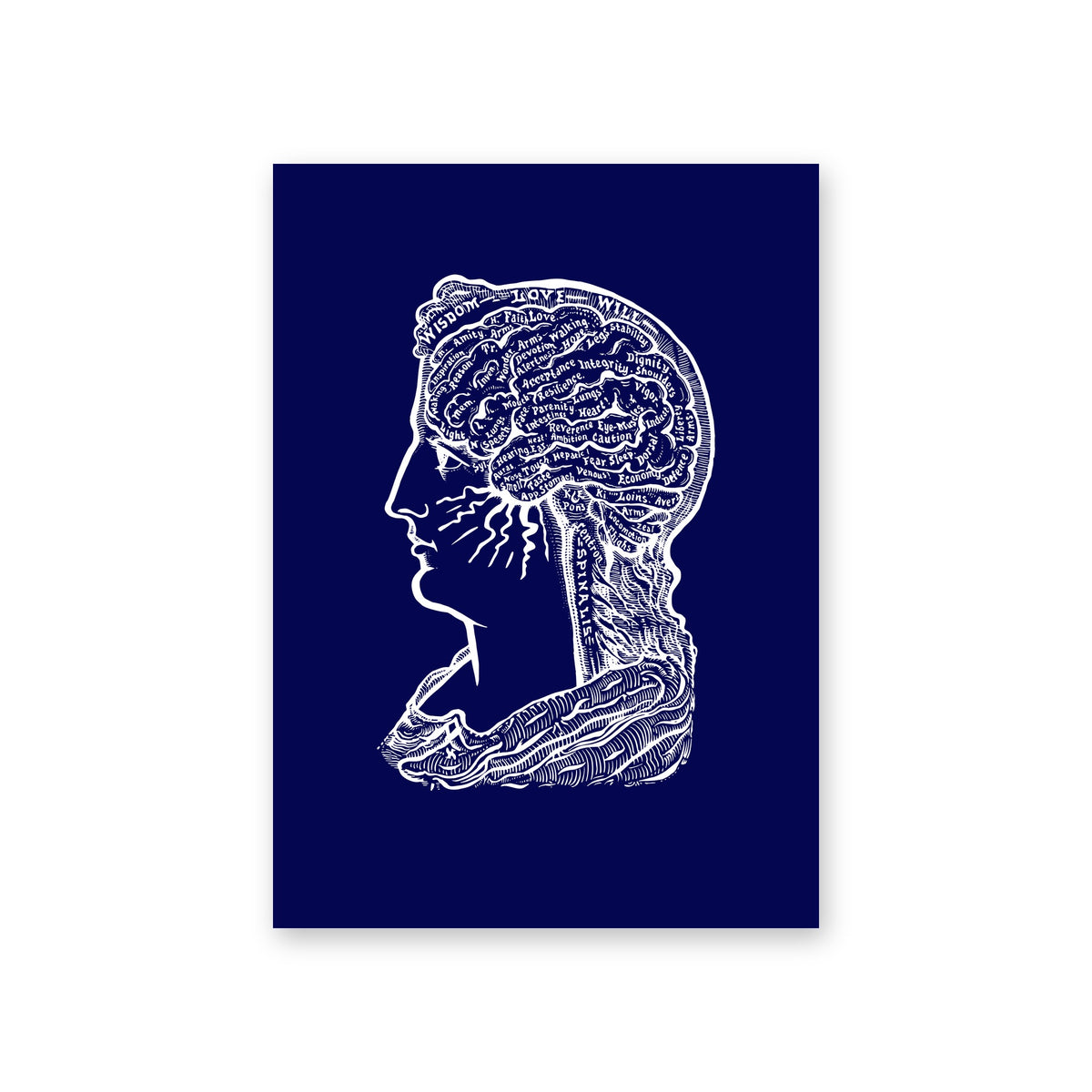 Poster Sereena, navy