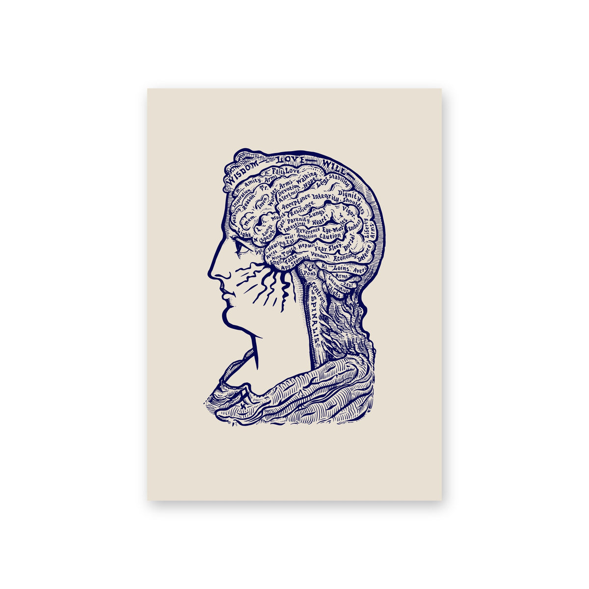 Poster Sereena, sand, phrenology head in navy