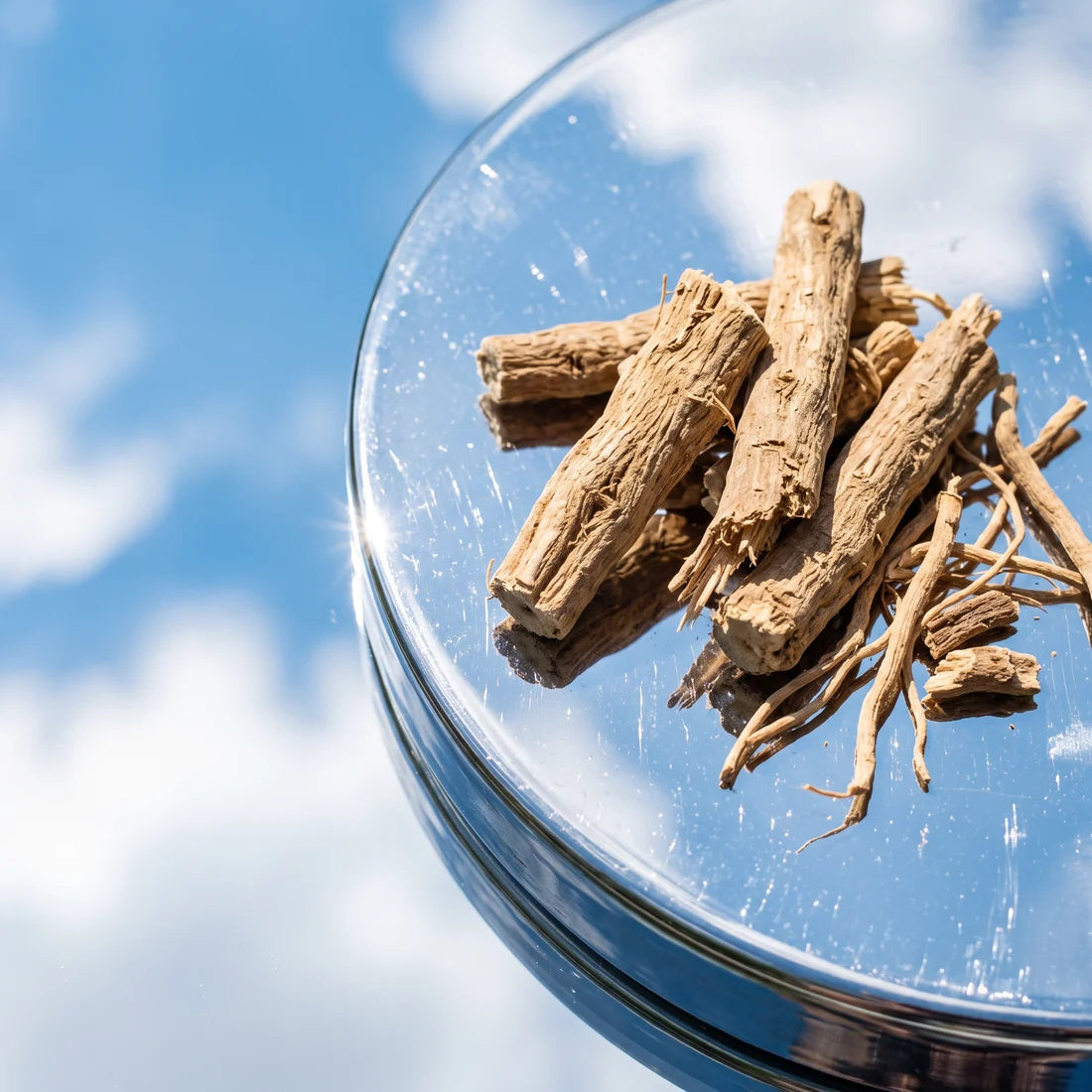 Dried ashwagandha root on chrome