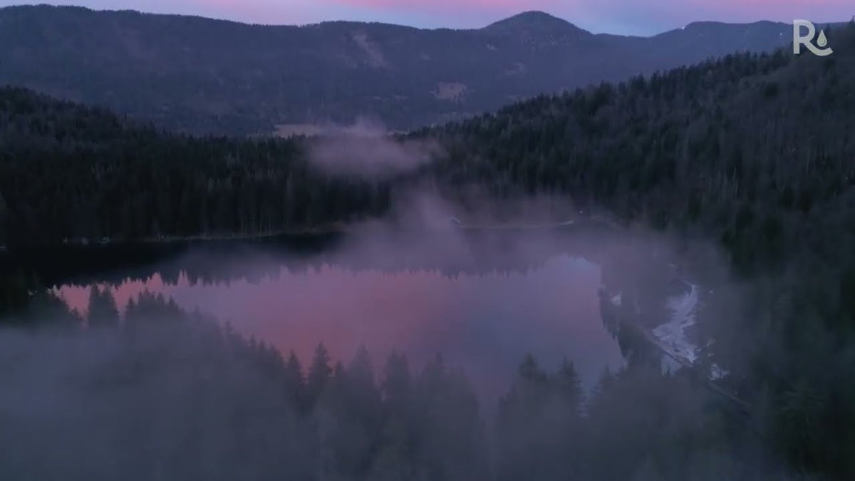 Mist over a forest lake at dusk