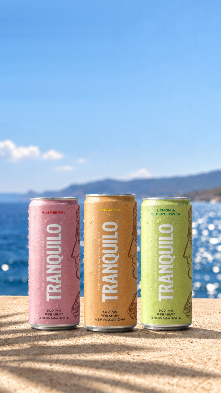 Tranquilo Raspberry, Pineapple and Lemon & Elderflower on a sunlit wall by the sea