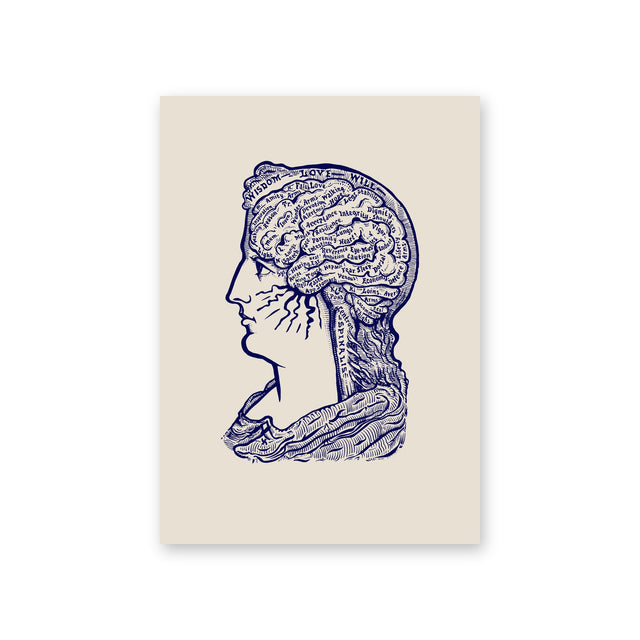 Poster Sereena, sand, phrenology head in navy