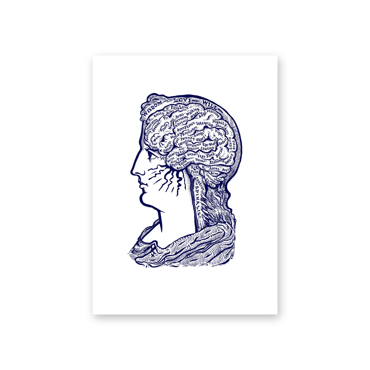 Poster Sereena, white