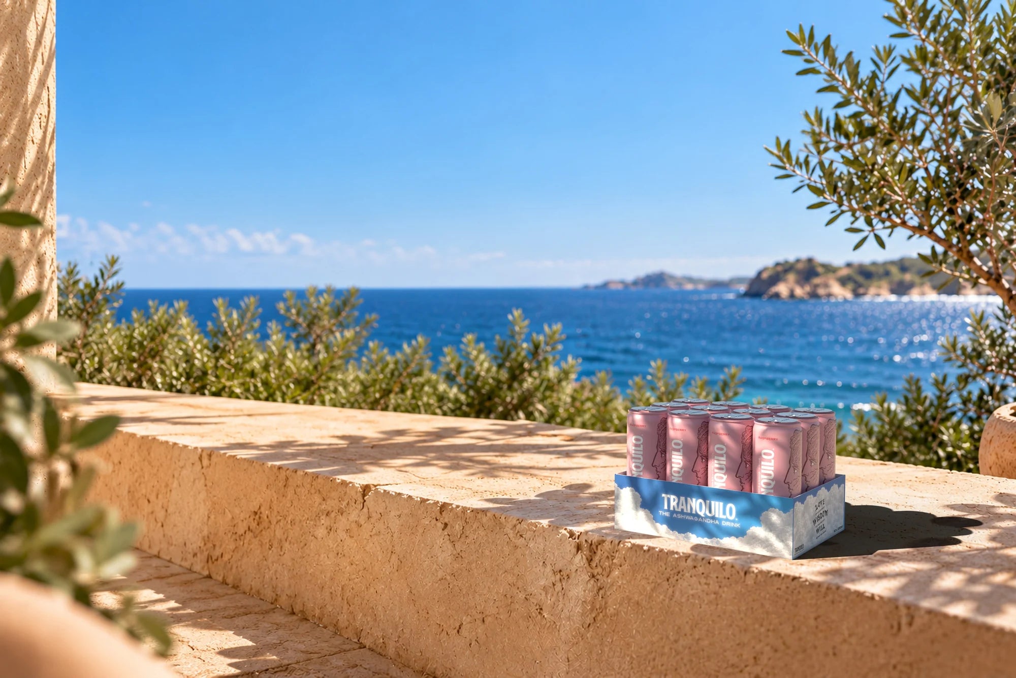A Tranquilo 12-pack on a sunlit wall by the sea